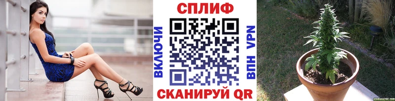 сколько стоит  Малаховка  Шишки марихуана планчик 